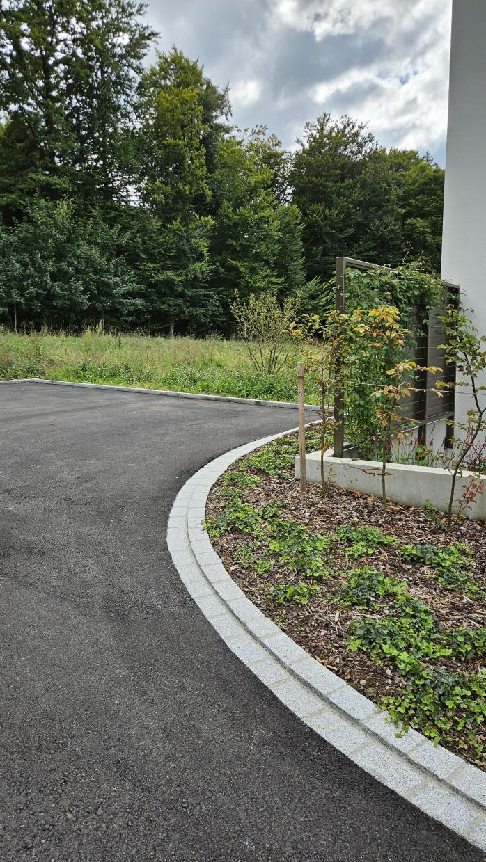 Neubau Ulmenweg Süd, Olten